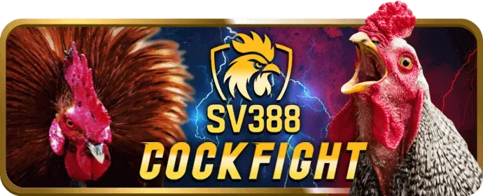 Luật chơi Đá Gà tại BJ72